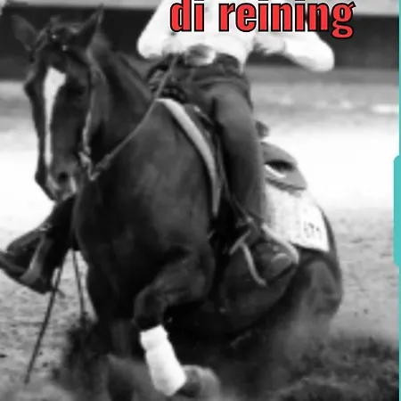 Tre Апартаменты Гамбасси-Терме